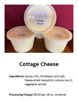 Cottage Cheese -16oz