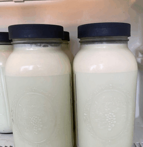 Skim Cow Milk — Half Gallon