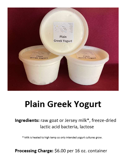 Plain Greek Yogurt -16oz